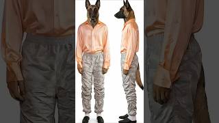🐾 Belgian Malinois inspired by Demna Gvasalia. Peach satin. Silver parachute. 🍑🩶