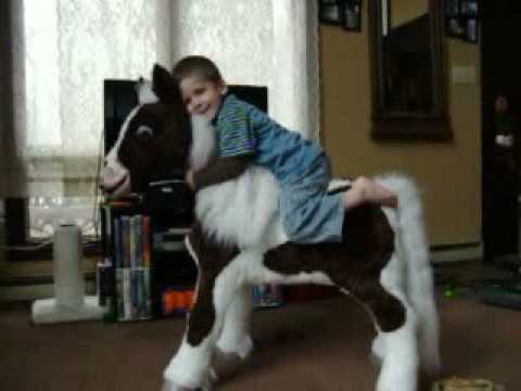 Sensory Processing Disorder~Silas and S'mores the pony!