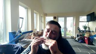 Lightly Swims the Swan Tremolo Harmonica