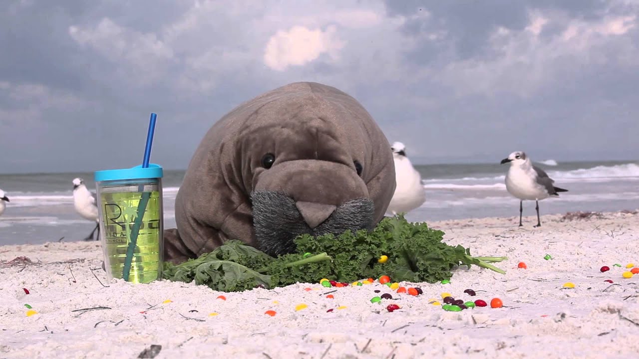 sharingbox 2016 HR Florida Conference Mascot