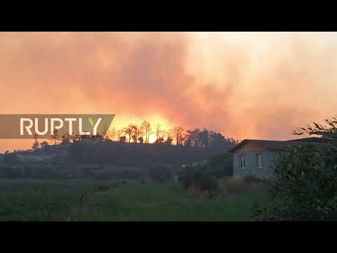 Turkey: Firefighting efforts continue against massive wildfires in Manavgat