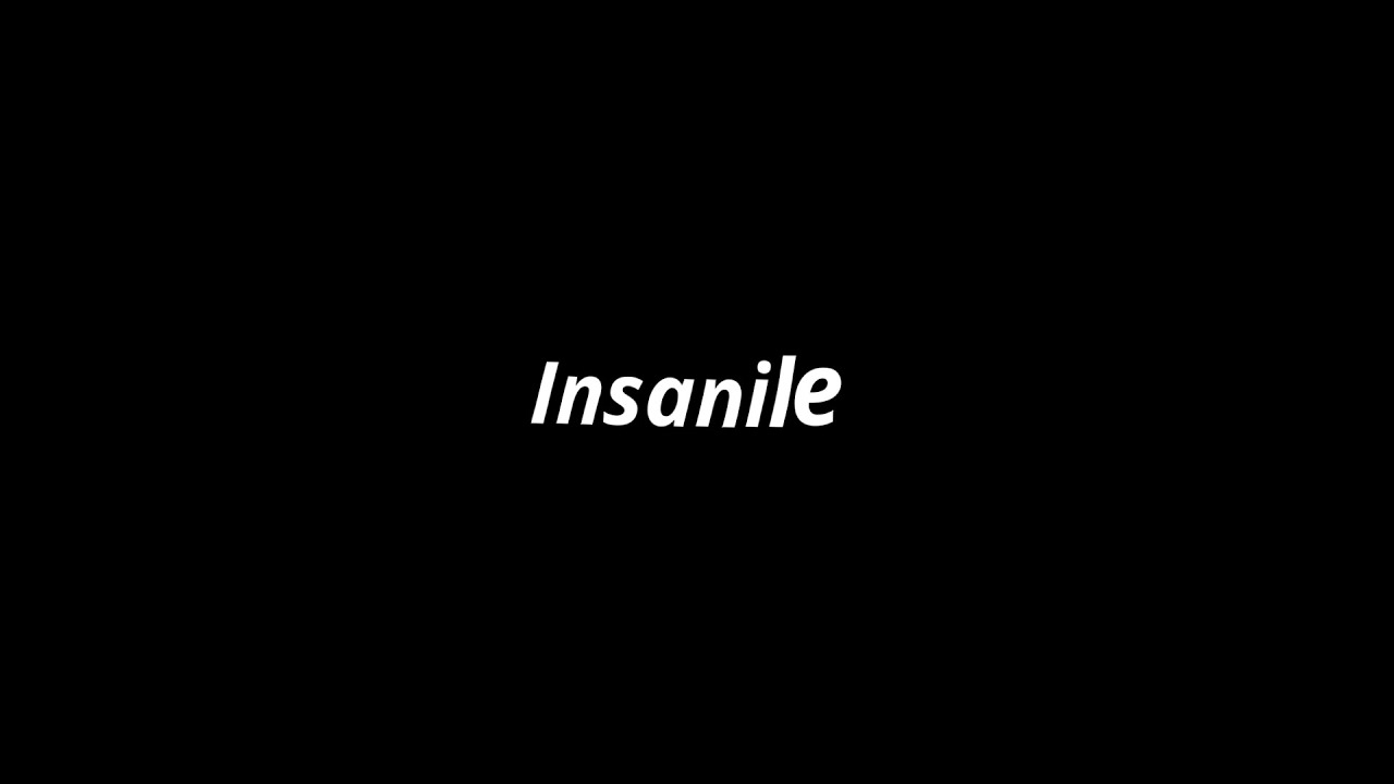 Insaanile | Ft Hanan Shaah - Lyrics | Black Screen Malayalam Song Lyrics