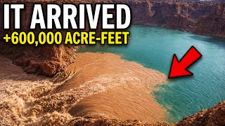 The Flood Finally Reached Lake Powell. Here’s What It Did.