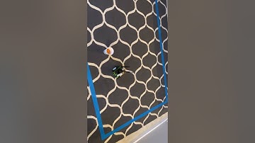 JetBot Object following