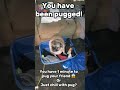 You have been pugged! (Even MORE HAHAHAHAHAHAHA-) ( ͡° ͜ʖ ͡°) ( ͡° ͜ʖ ͡°) ( ͡° ͜ʖ ͡°)