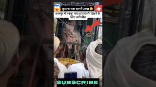 डायनासोर अचानक आया सामने देखकर आपके होश उड़ जायेंगे 😱| #shorts #trending #viral #ytshorts #facts