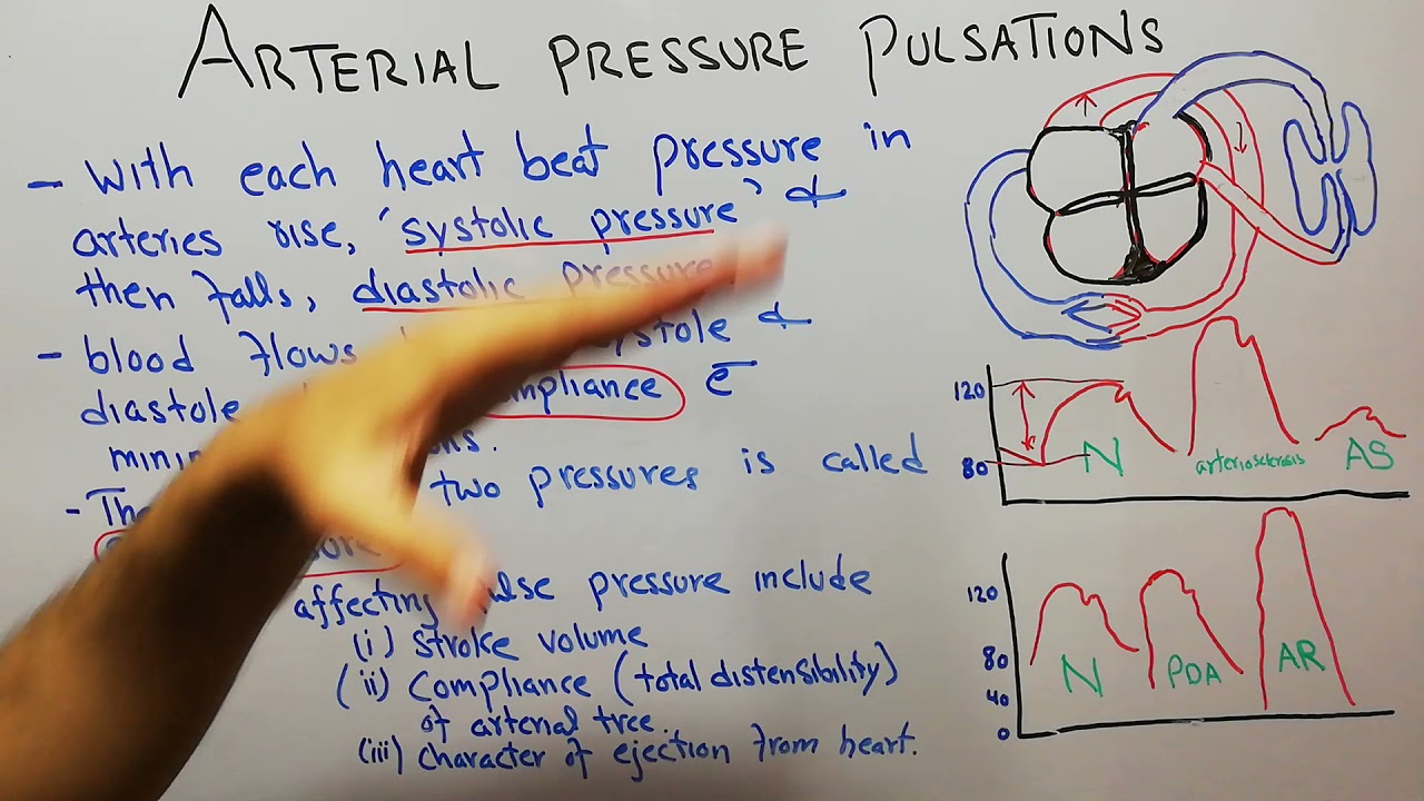 CVS physiology 69.Pulse pressure, systolic pressure,diastolic pressure,arterial pressure pulsations.