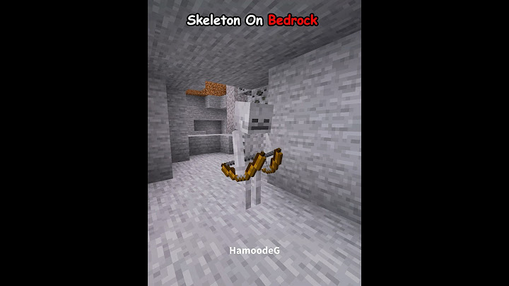 Java Skeleton VS Bedrock Skeleton 💀