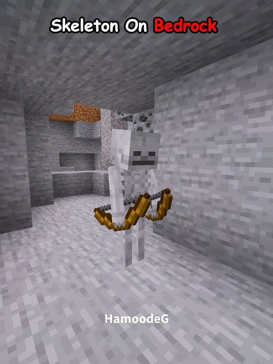 Java Skeleton VS Bedrock Skeleton 💀