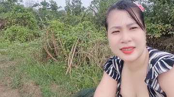 Bẫy Cá 12 Cửa Ngục Trúng Cá Rô Phi Ngon|Cẩm Tiên Vlog
