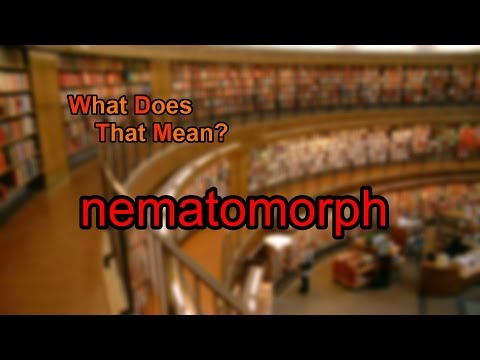 What does nematomorph mean