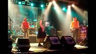 Schlecht - Nilkrokodilpolka