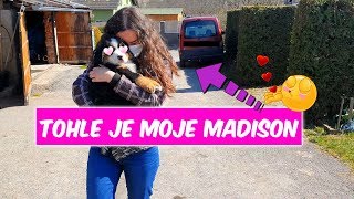 TOHLE JE MADISON... ♥ Jedu si pro ni.