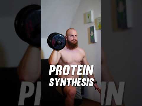 Video: Co je potřeba pro syntézu bílkovin?