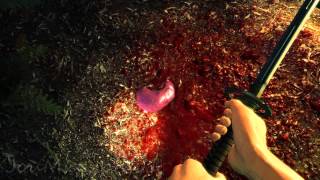 Shadow Warrior CH2 insane difficulty, no crosshair, no HuD, Ultra HD