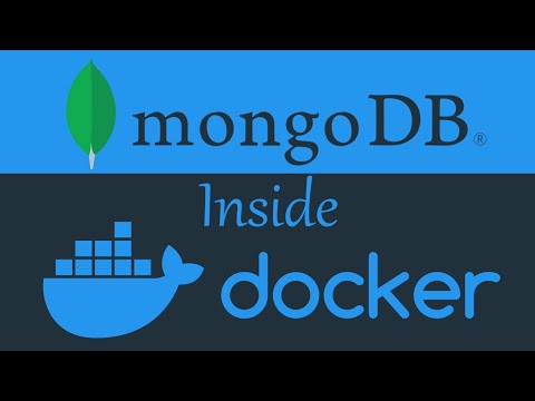 How to use MongoDB in a Docker container