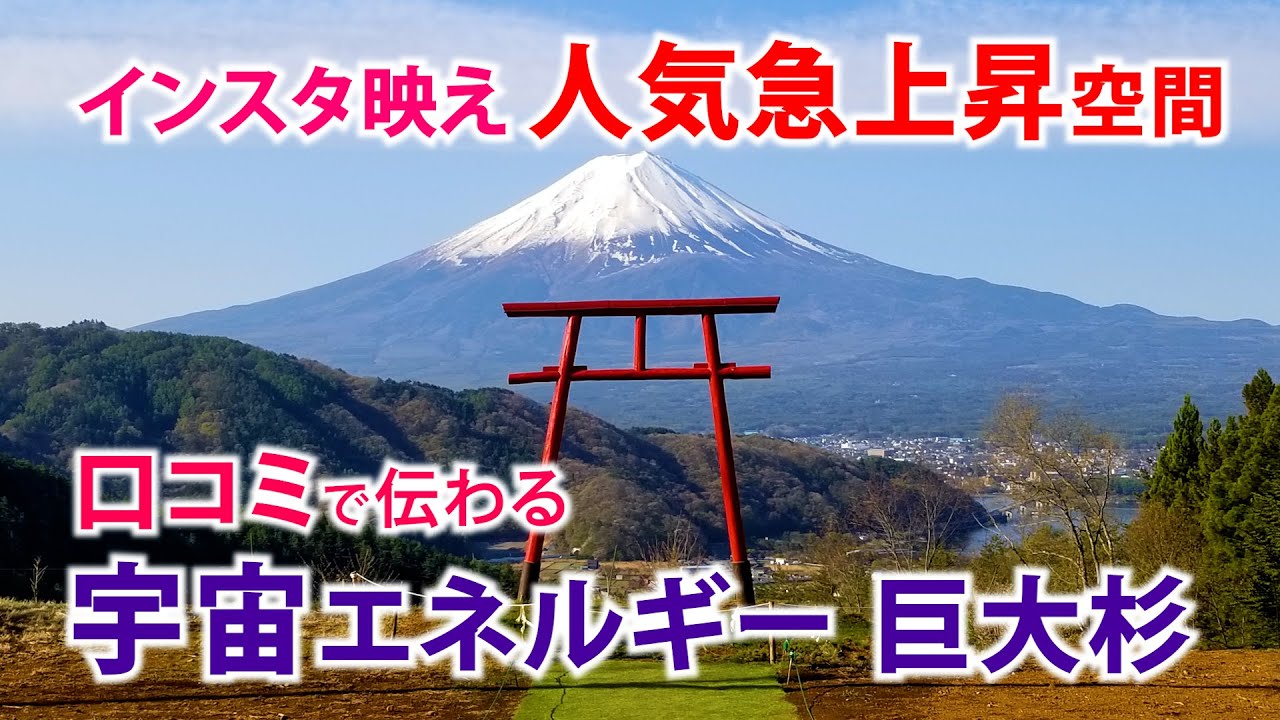「この場所 何かが違う!?」天空の鳥居がSNSで話題に 口コミで人気急上昇中  【河口浅間神社】