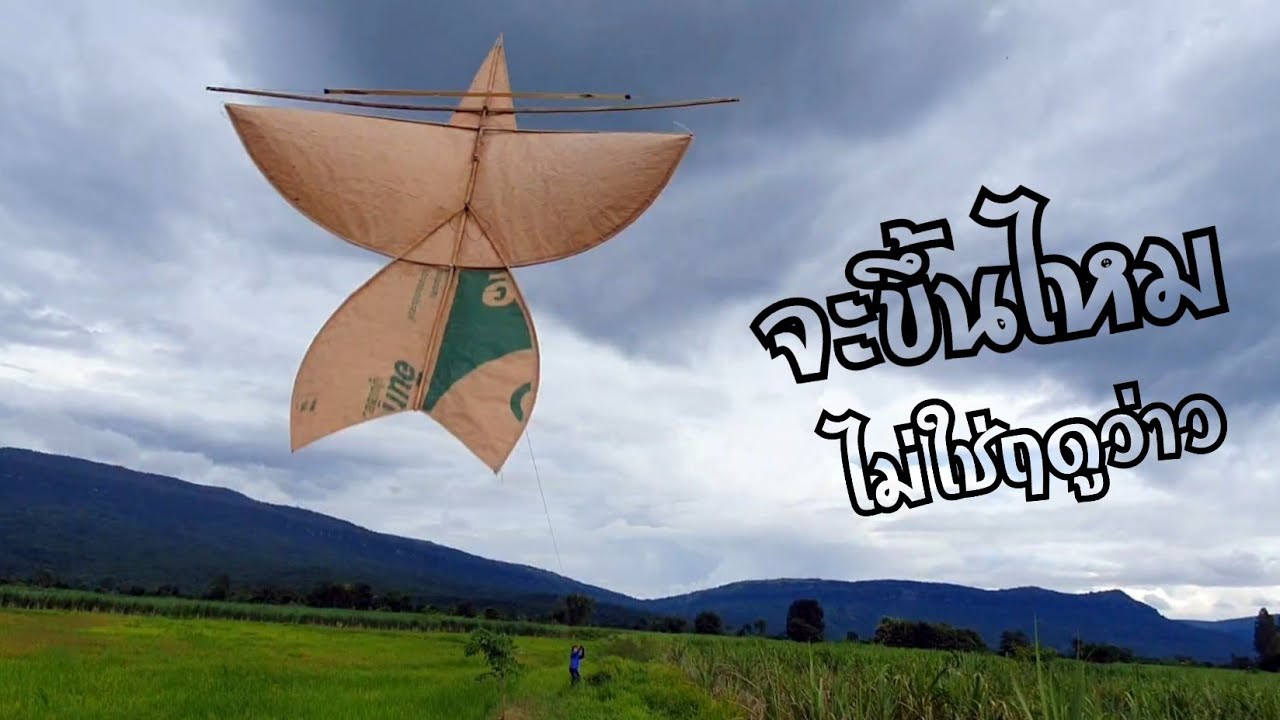 ว่าวจุฬาอีสานกระดาษปูน ปล่อยผิดฤดูจะขึ้นได้ไหม