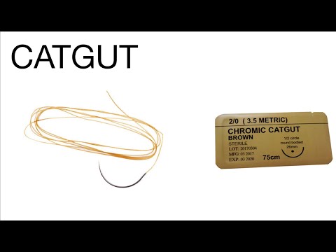 Knowledge Bytes uploaded: Catgut |Use| Prepared from| Discovered by| Preservatives used & etc🩺