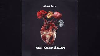 Ahmet Emre - Aynı Yolun Baharı Resimi