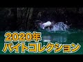 【Chest114】2020年トップウォーターバイトコレクション