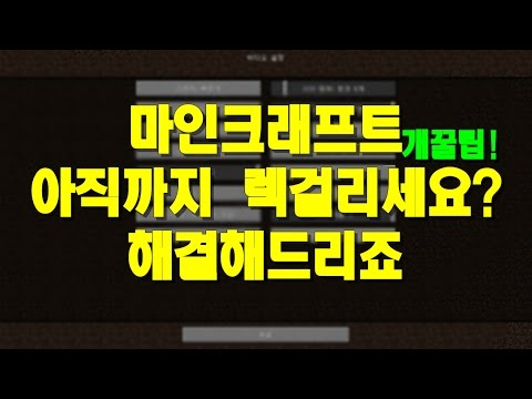 마인크래프트 렉 줄이는법! 개꿀팁!! 아직도 렉걸리세요 ? | 서이 마인크래프트 - MineCraft