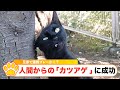 『人間からのカツアゲに成功 兄弟で連携プレーか!?』