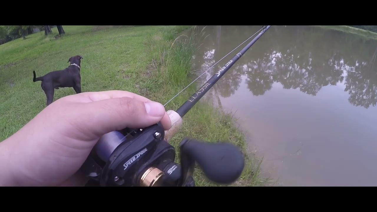 Bass fishing before a Flood Threat! *Me vs. my neighbors dog*