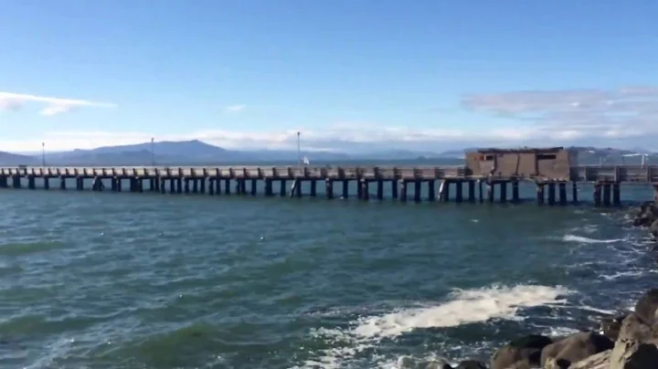 Gathering of the Winged Tribe: Berkeley Marina