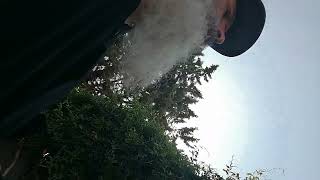 VID 20260729 100500