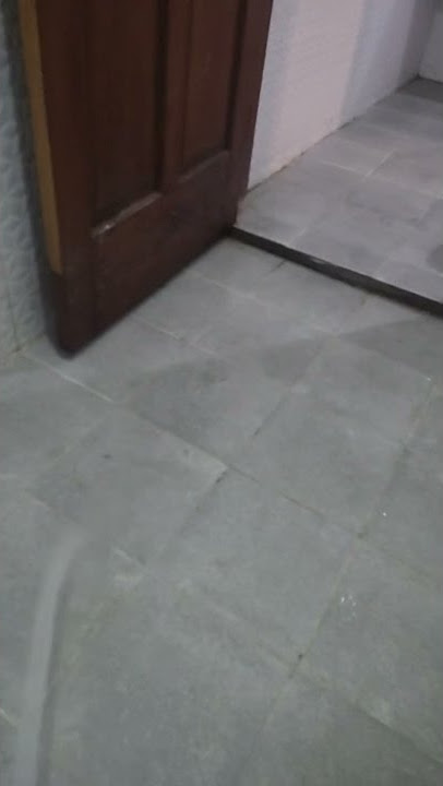 Toilet umum cewe lebi jorok cok dari pada cowo.