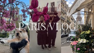 EP.38 Paris #VLOG | 댕댕이와 함께 파리 사는 부부 일상| 베리공손일상