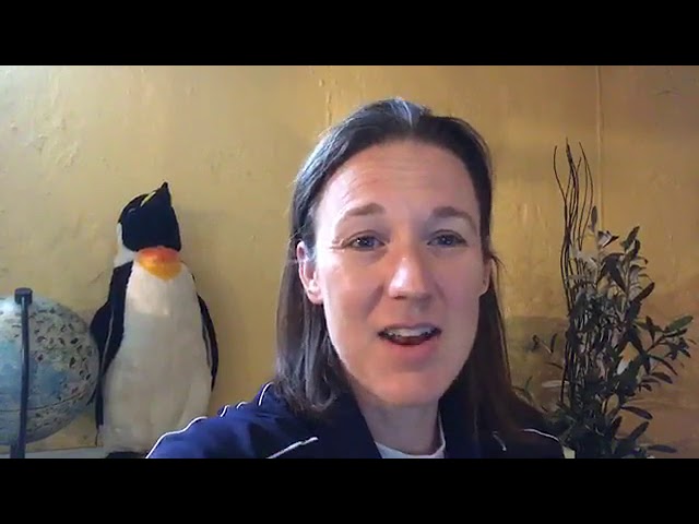 Virtual Vitamin Z | Zoo Educational Lesson: Penguin Design Challenge