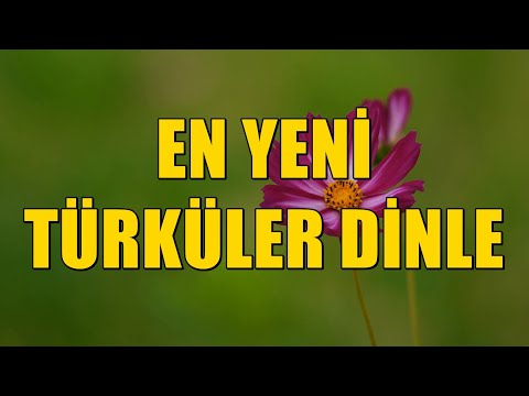 Türküler 2024 | En Yeni Türküler Dinle | 2024 Türküler [KESİNTİSİZ - HD] #türkü #türküler