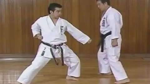 Karate  Blocks - Uke