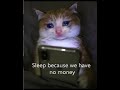😭😭😭