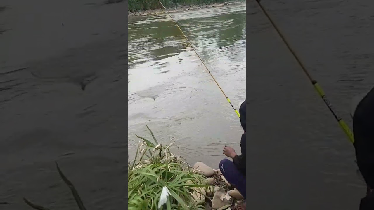 STRIKE IKAN BREK BABON