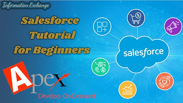 Learn Apex Programming : Parent Child Map