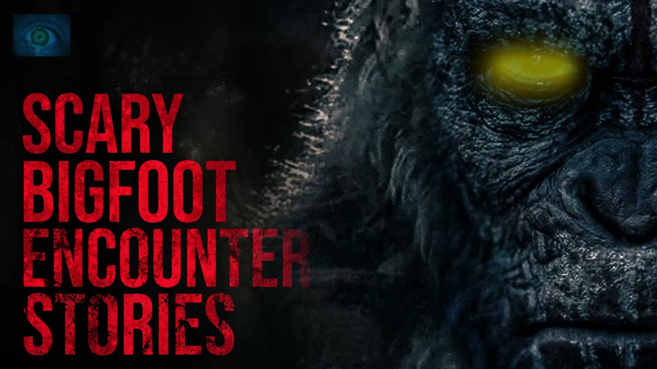 SCARY BIGFOOT ENCOUNTER STORIES CRYPTID STORIES 2020 YouTube