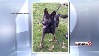 Erlanger Police Welcomes New K9 To The Department Erlanger Police Welcomes New K9 To The Department
