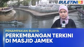 TULAR | Perkembangan Terkini Kes Buaya Di Masjid Jamek