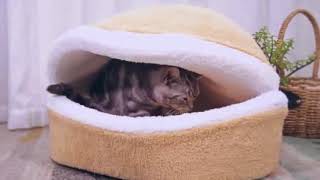 暖かい猫ベッド　冬の最適選択