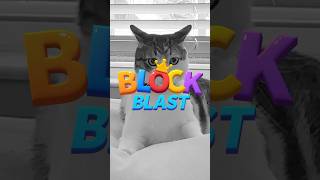 🙀 The human downloaded #BlockBlast