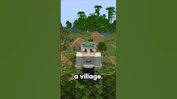 The Rarest Structure in Minecraft