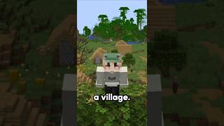 The Rarest Structure in Minecraft