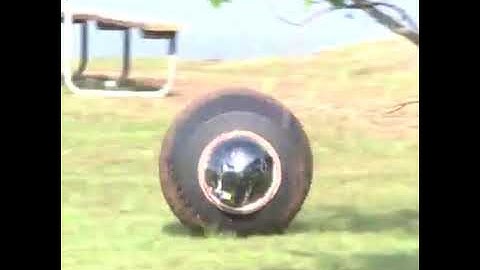 ALL TERRAIN SURVEILLANCE - GUARD BOT