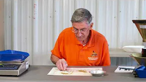 How long does it take for wheat trauma to pay? (2023)