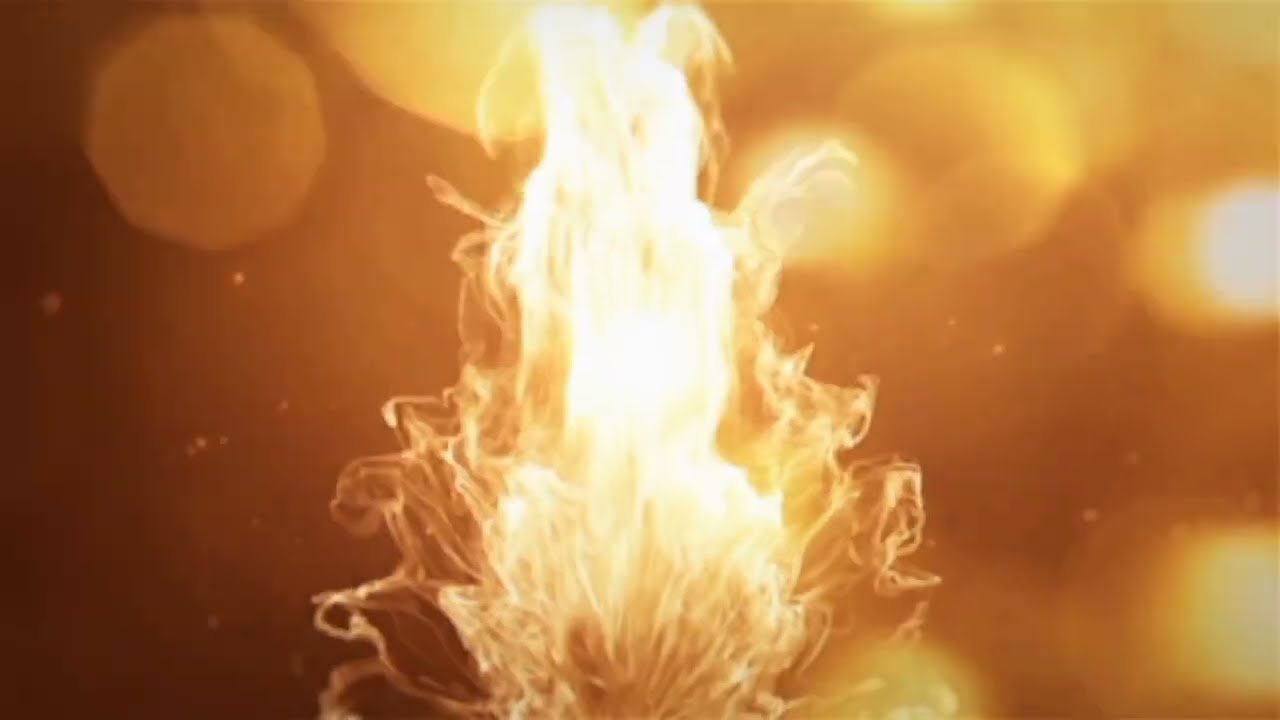 Посылка от Саши Харьковского и разбор по огневой сушке