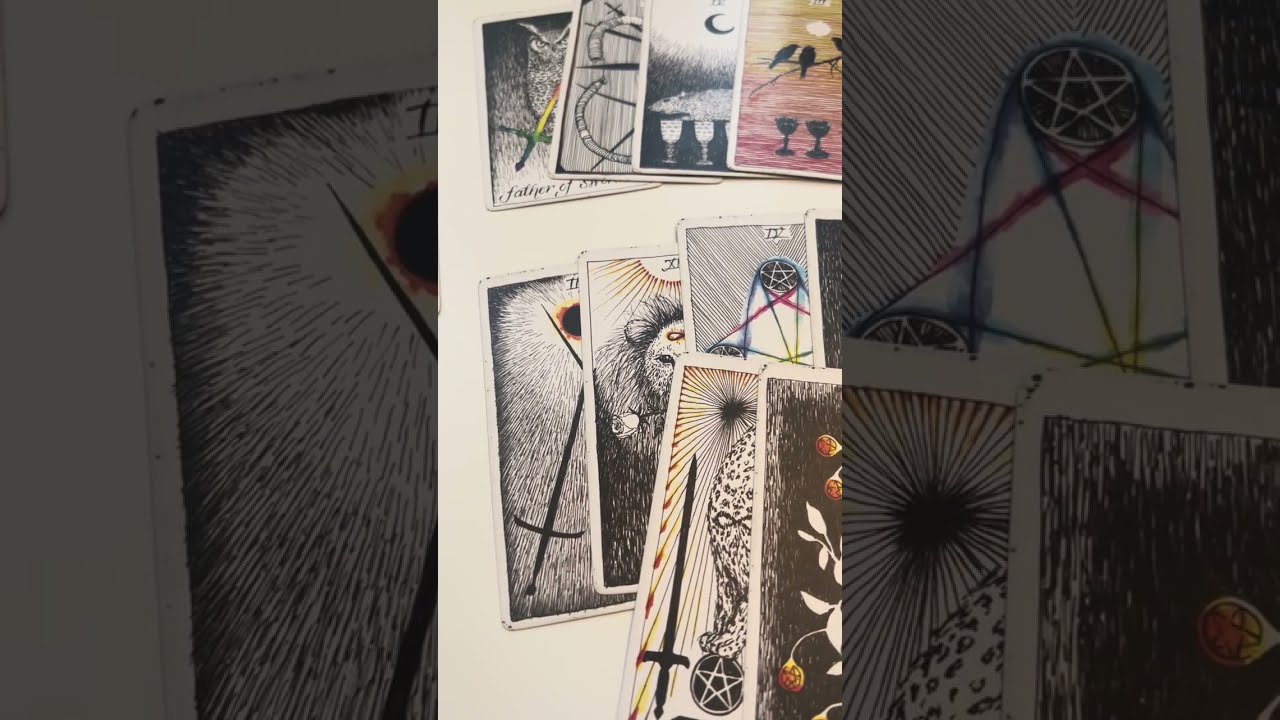 Žinutė II dalis: jūs radot nusikaltimo šaknį! ⚔️⚖️☀️🕊️