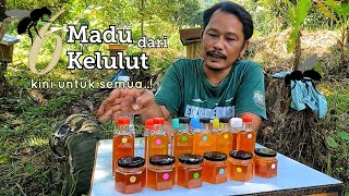 Madu liar dari 6 spesis yang berbeza..!